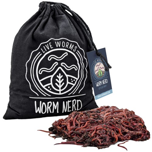 Live composting red wiggler - red,